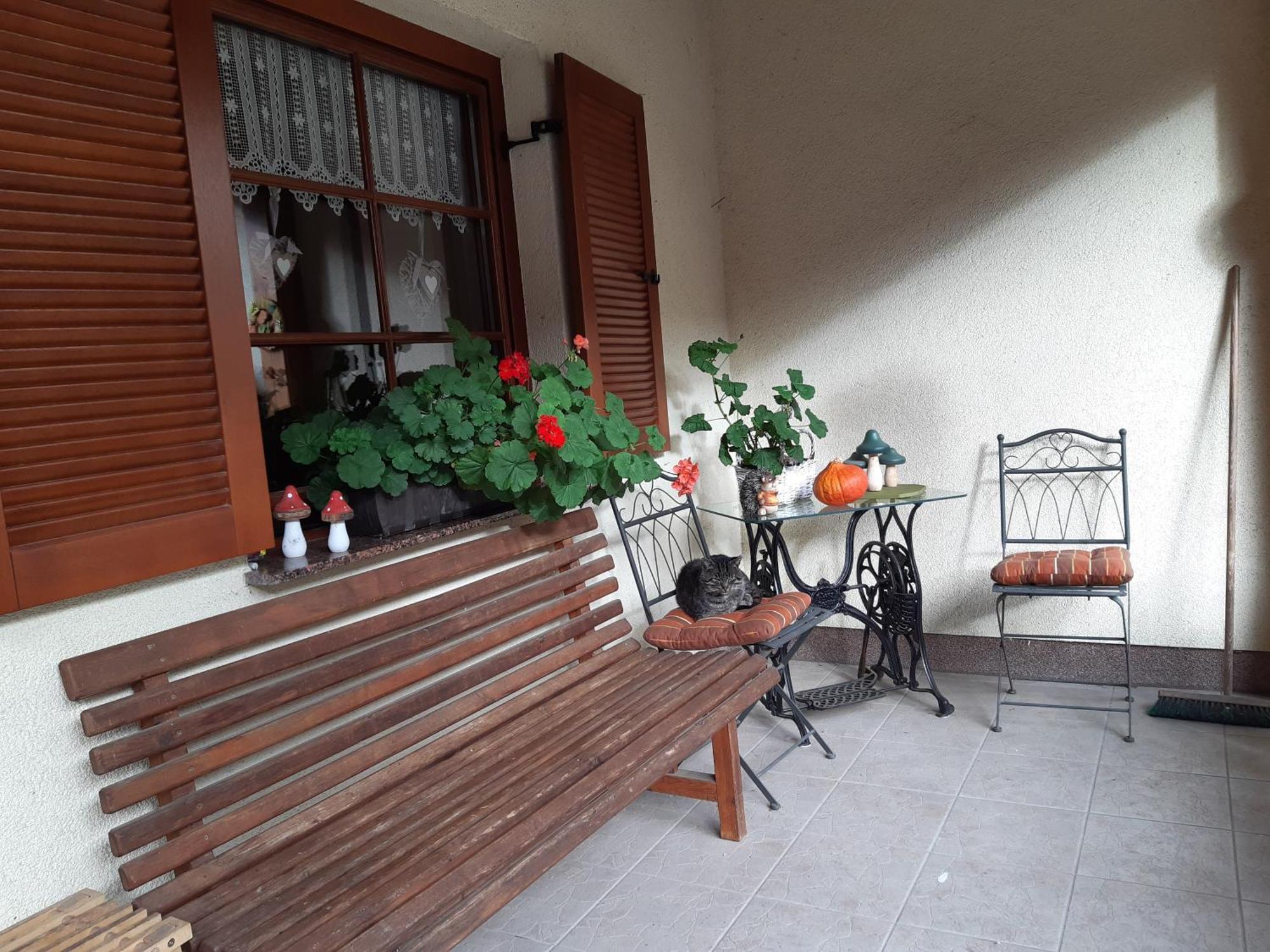Ferienwohnung Am Schlosssee. Penkun Dış mekan fotoğraf